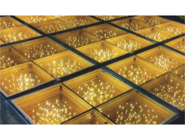Rice LED Dance Floor