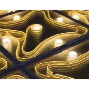 Rope LED Dance Floor