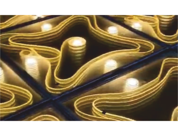 Rope LED Dance Floor